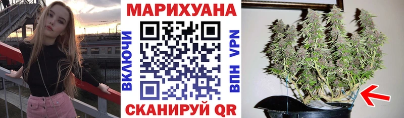 KRAKEN рабочий сайт  Устюжна  Шишки марихуана SATIVA & INDICA 